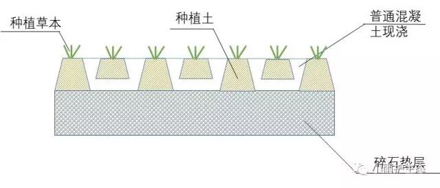 1545115212546083.jpg 10.jpg