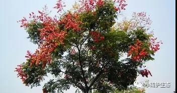 1545115425101212.jpg 19.jpg